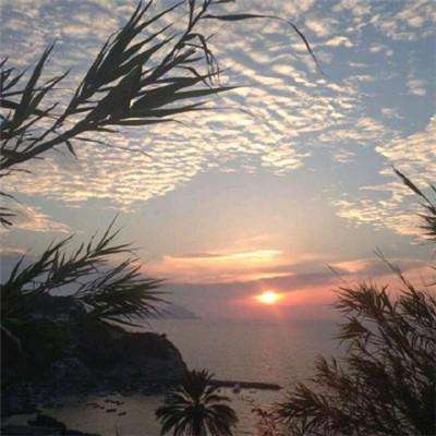 澳门2023全年免费资料大全