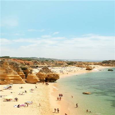 威斯尼斯wns888入口app