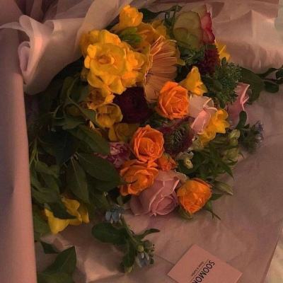 半岛官网入口下载