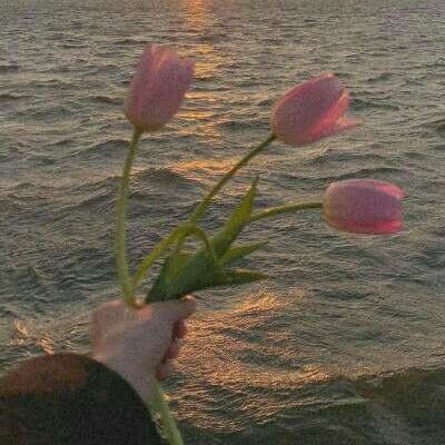 大发彩票app手机app下载