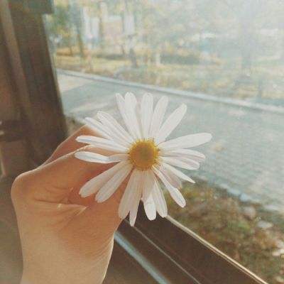 万博app下载最新版