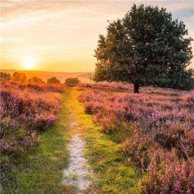 安博体育·(中国)官方网站下载手机版