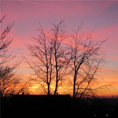 九万彩票安卓软件手机app下载截图