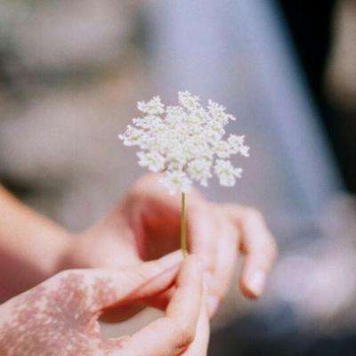 澳门2023全年免费资料大全