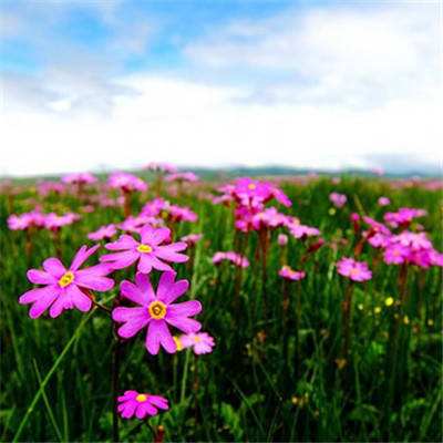 爱游戏综合APP下载