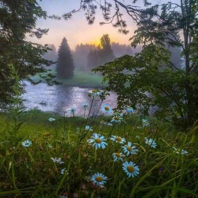 云开全站app手机app下载截图